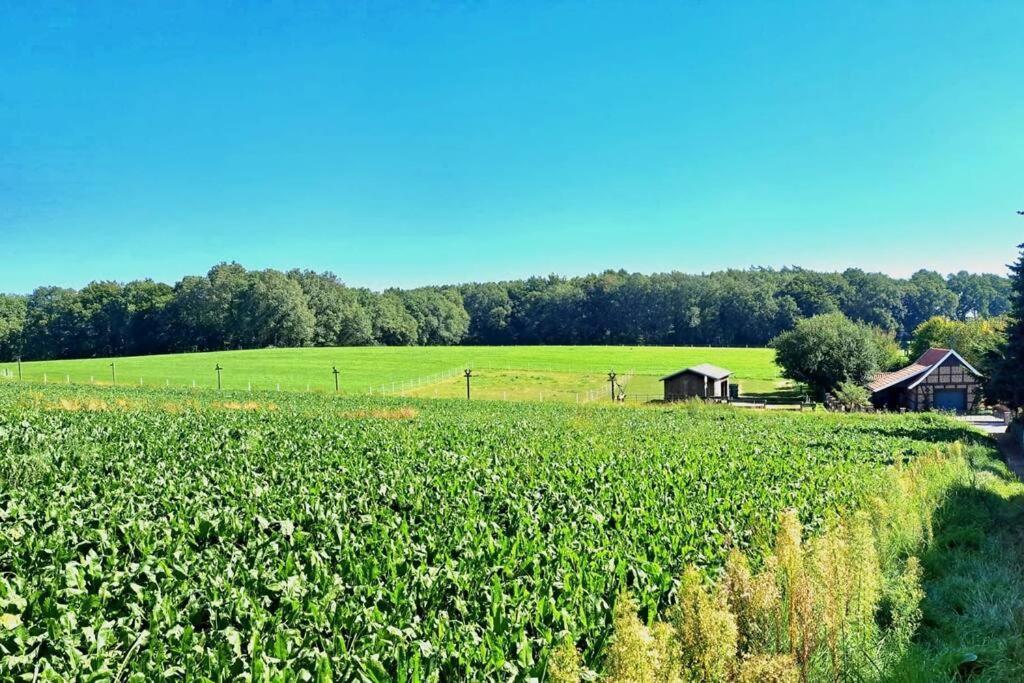 Das Bergherz Ruhe + Natur Pur Appartement Reken Buitenkant foto